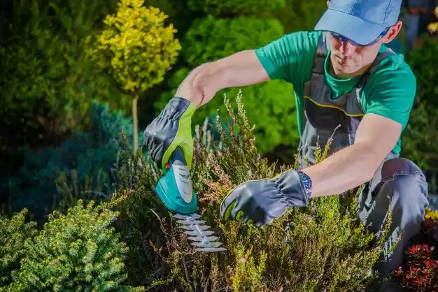 landscaping services St. Henry